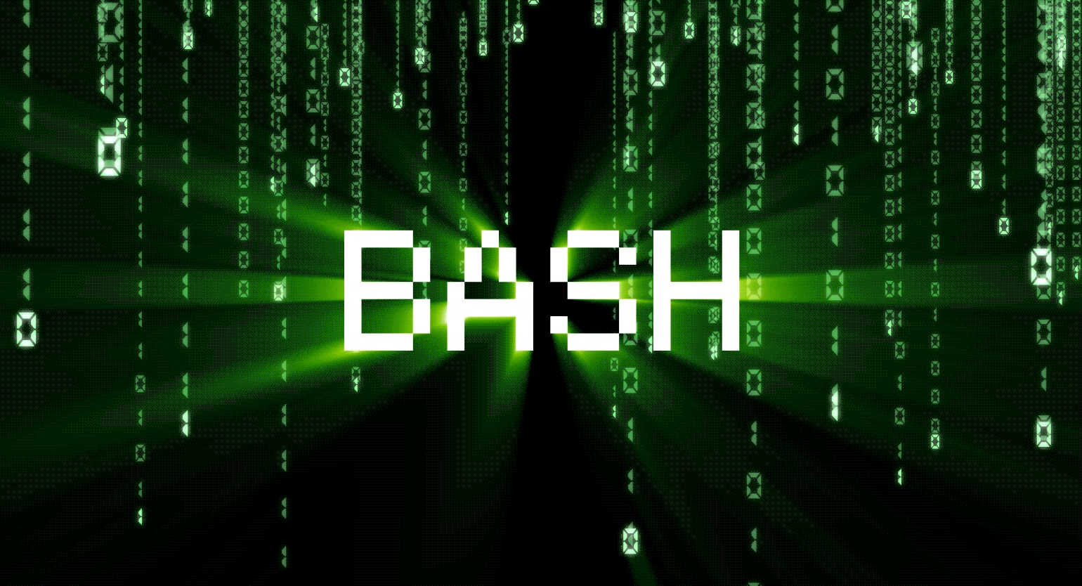 Bash